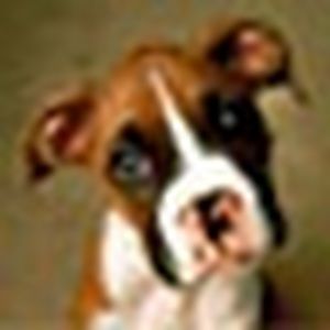 Meet your Posher, Matt